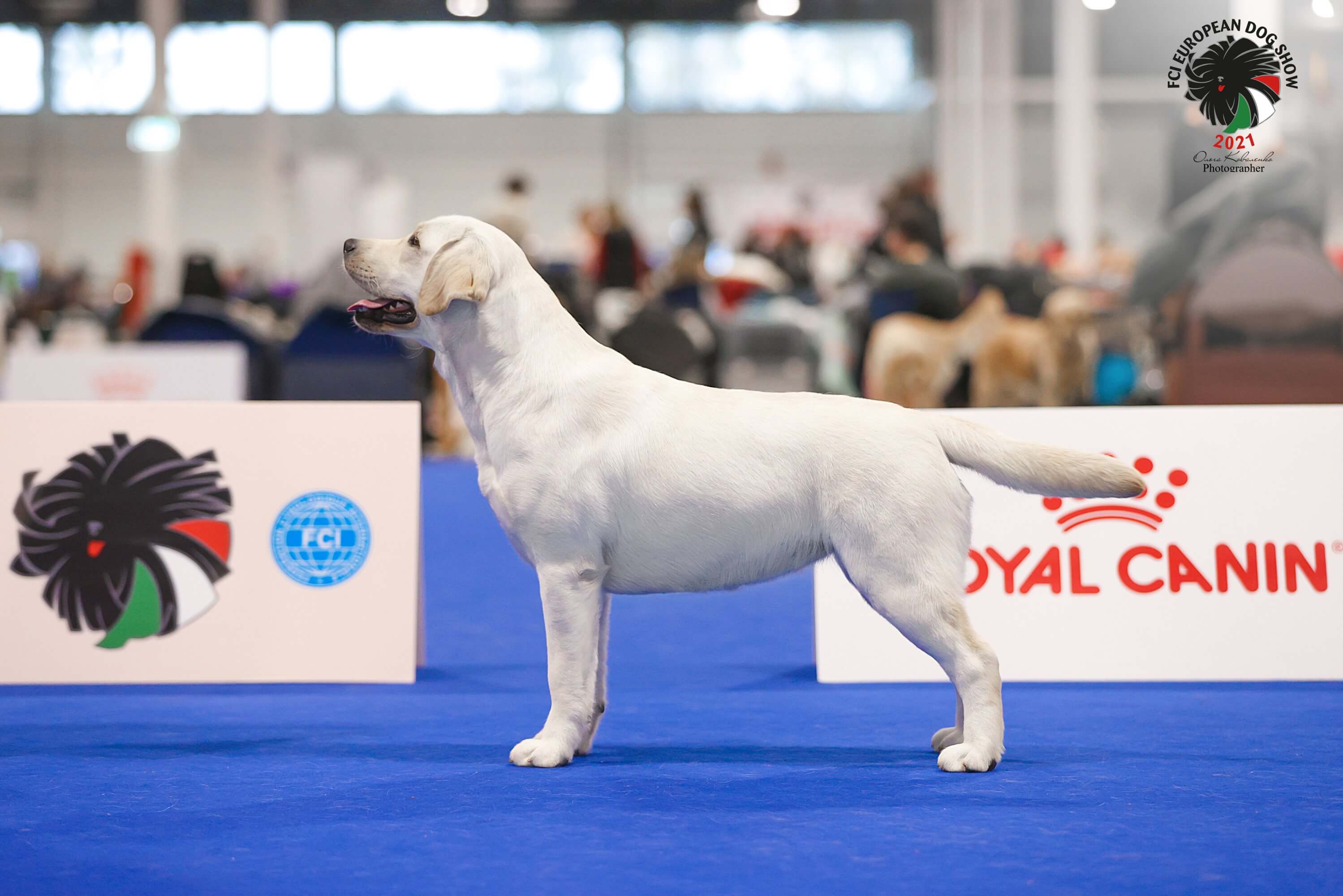 Jess - vice JUNIOR EUROPEAN WINNER 2021!