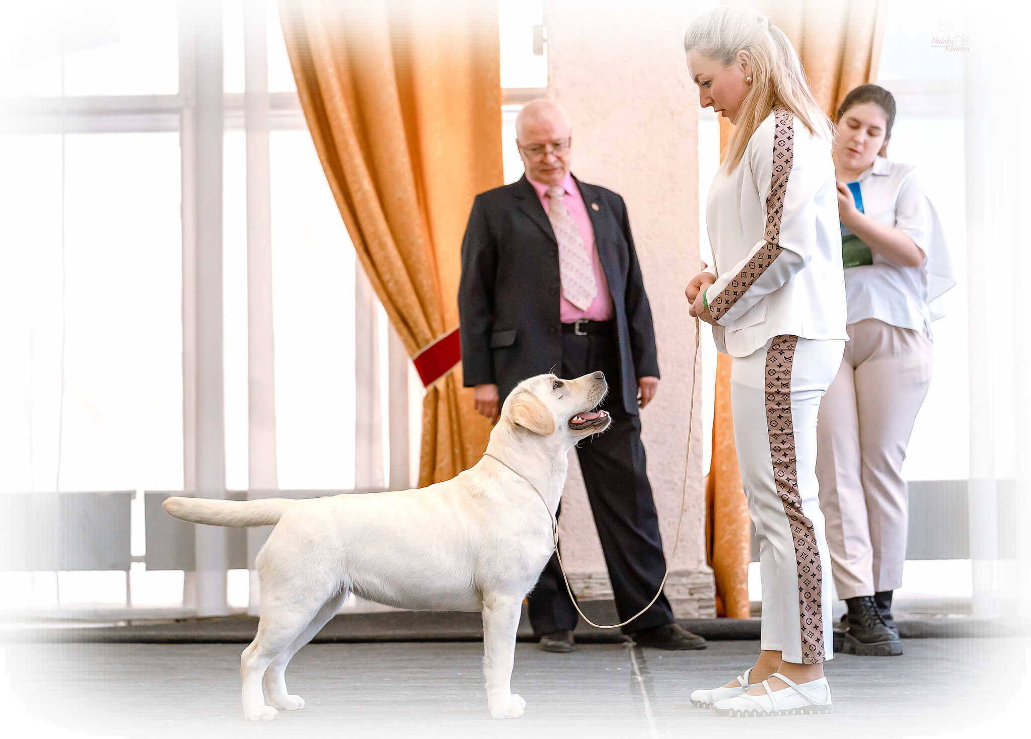 HIT OF HIT CHOICE FOR VITA SOLARE