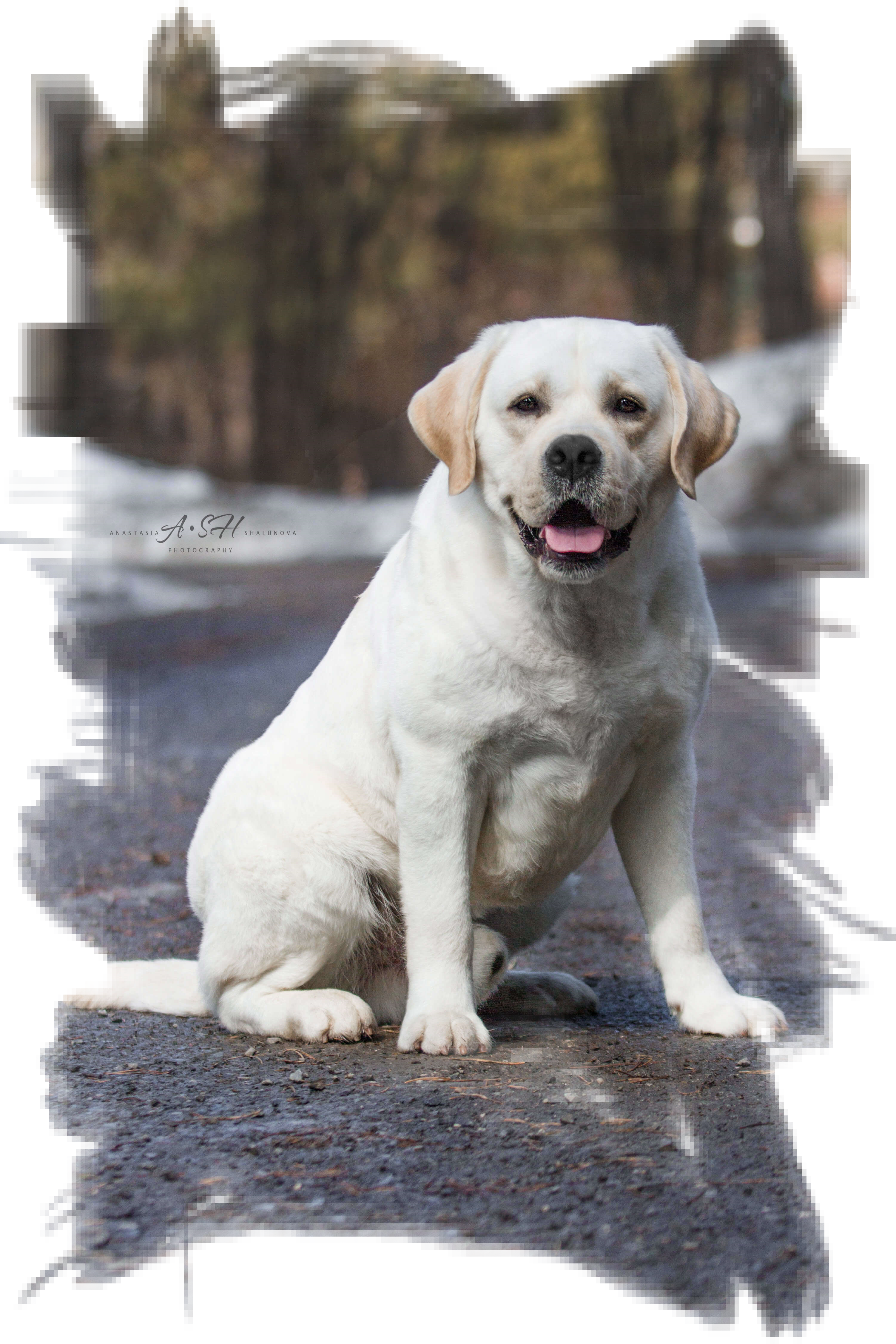 HIT OF HIT DON BURBON